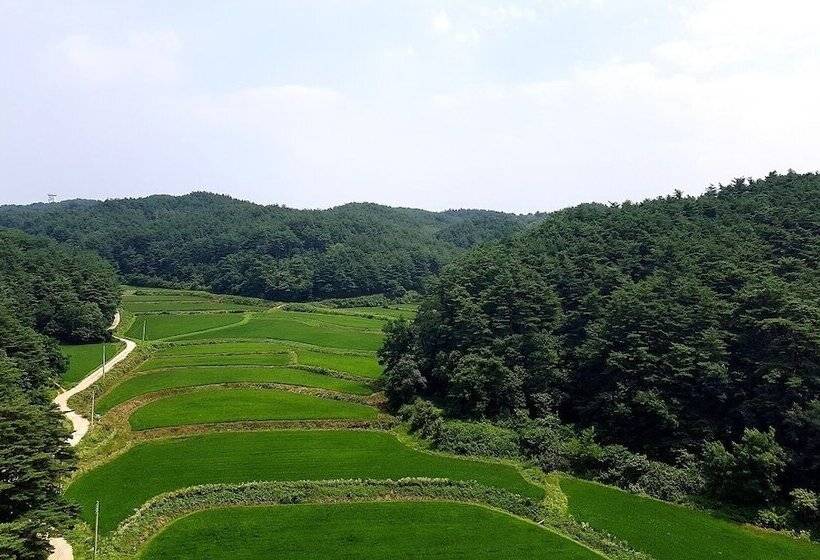 ホテル Yangyang International Airport