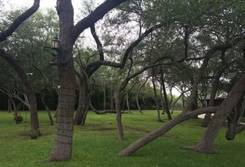 Live Oaks Bed And Breakfast