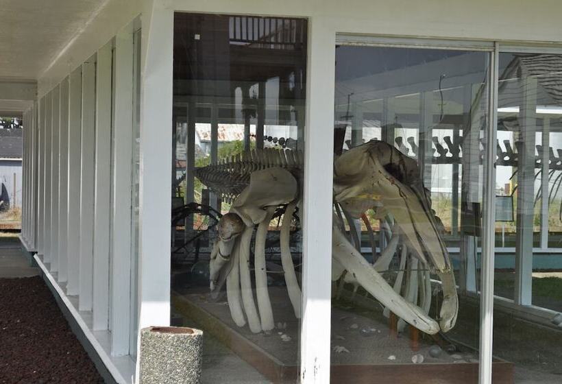 モーテル Islander Westport