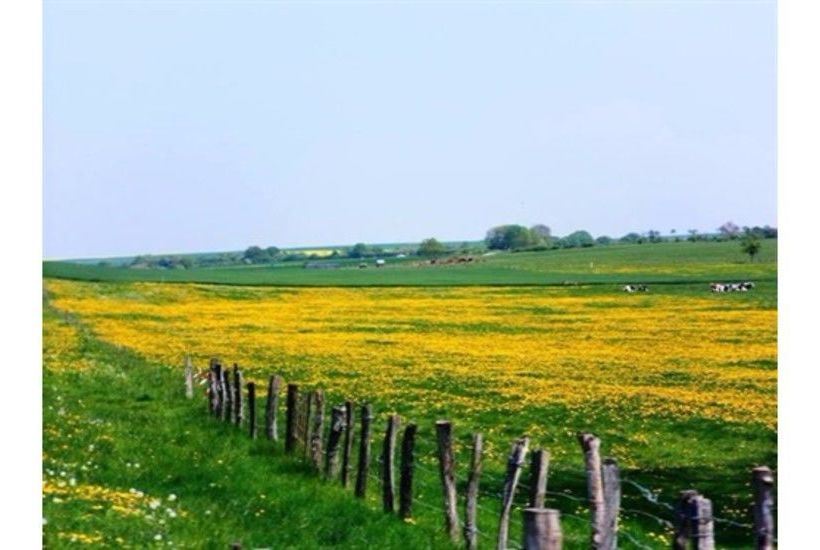 펜션 Chambres D Hôtes Chez Mariebel