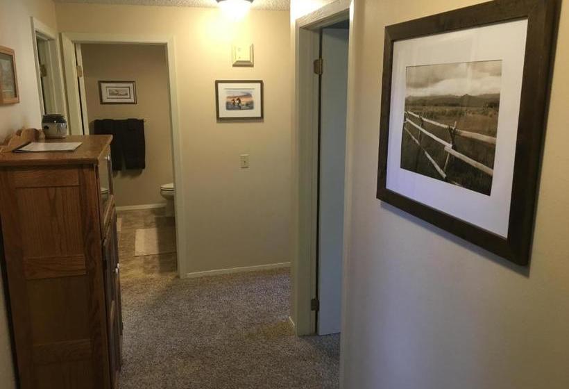 Priceless Black Hills View