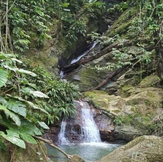 Restorations Tobago