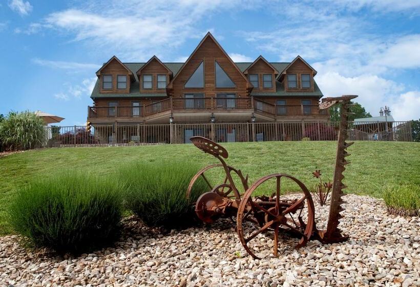 Shirley S Bed And Breakfast