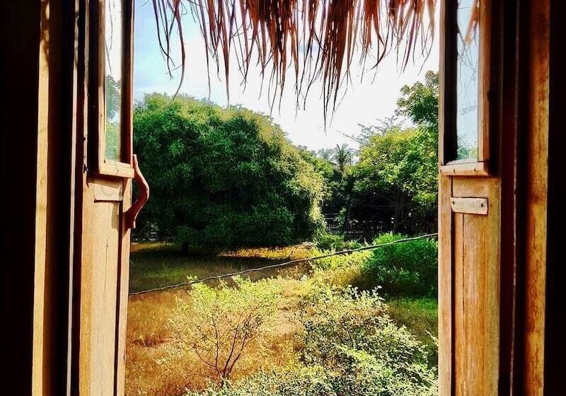 The Rabbit Tree Hostel