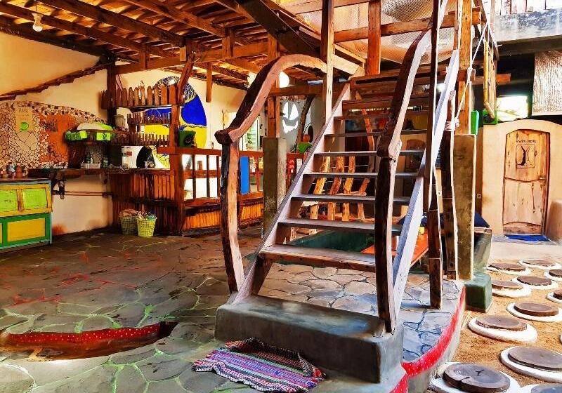 The Rabbit Tree Hostel