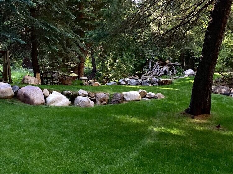 Treehouse By The Stream