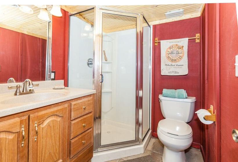 Treehouse By The Stream