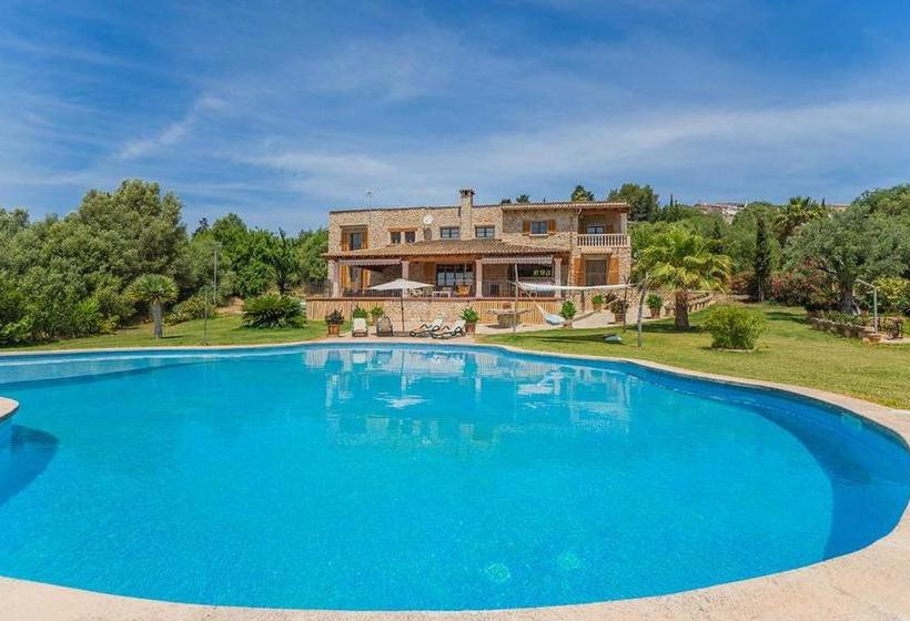 Costa Elvira 13957/2015