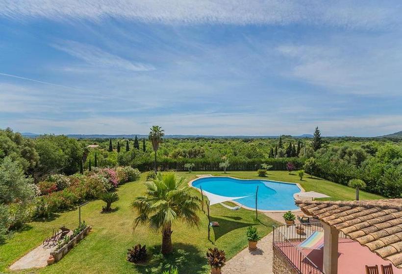 Costa Elvira 13957/2015