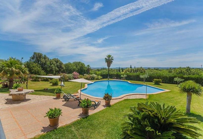 Costa Elvira 13957/2015