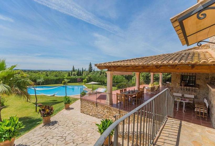 Costa Elvira 13957/2015