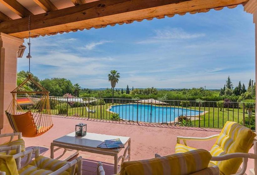 Costa Elvira 13957/2015