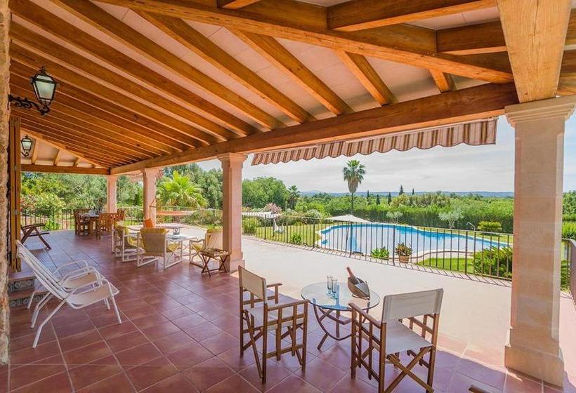 Costa Elvira 13957/2015