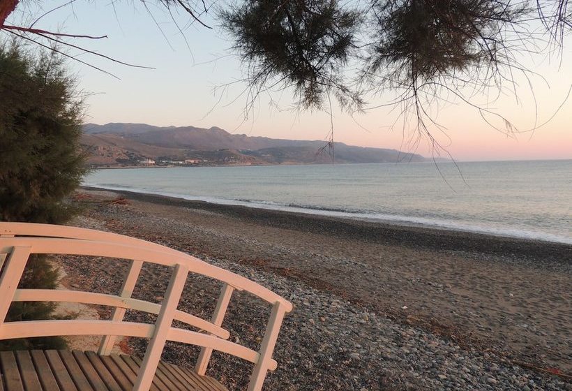 فندق Arion Beach