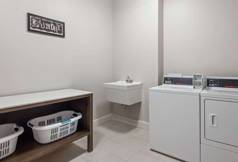 Aristocrat Hotel, Bw Signature Collection