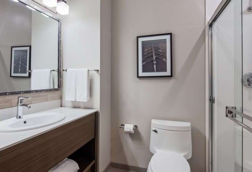 Aristocrat Hotel, Bw Signature Collection