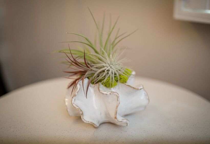 Aristocrat Hotel, Bw Signature Collection