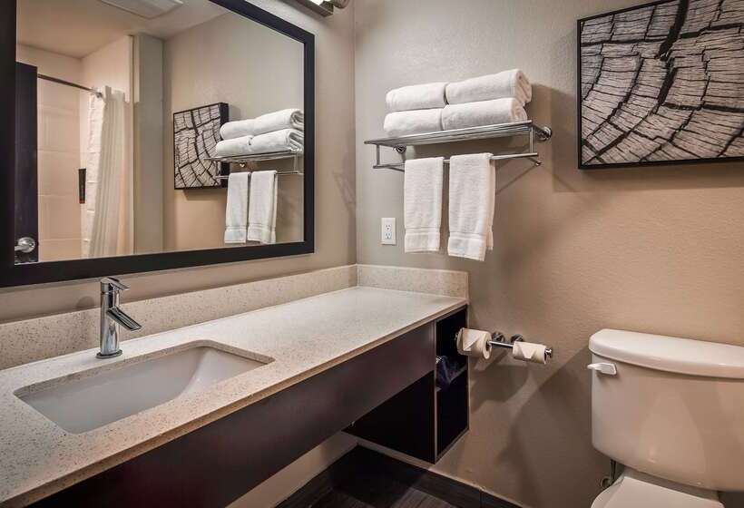 Отель Best Western Plus Bay City Inn & Suites