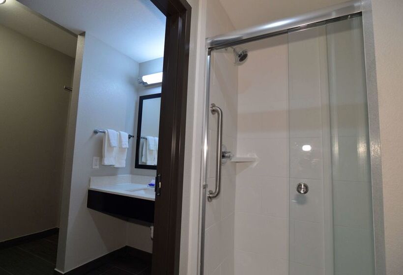 בית מלון כפרי Best Western Plus Bay City Inn & Suites