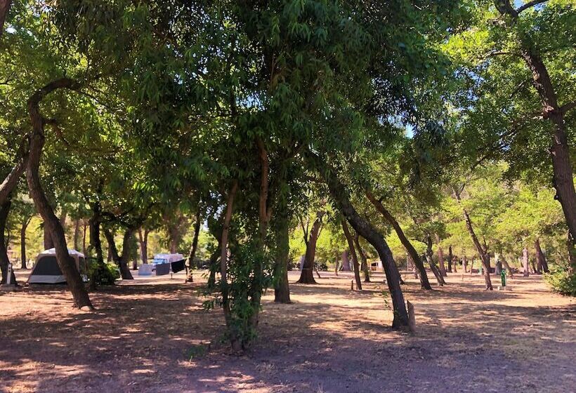 هتل Camping Dolce Vita