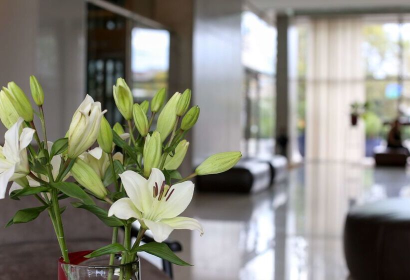 בית מלון כפרי Dazzler By Wyndham Rosario