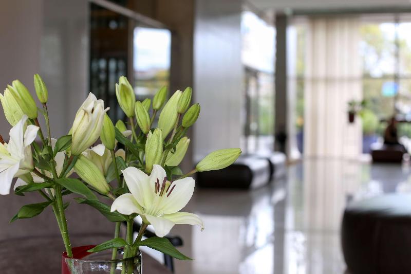 בית מלון כפרי Dazzler By Wyndham Rosario