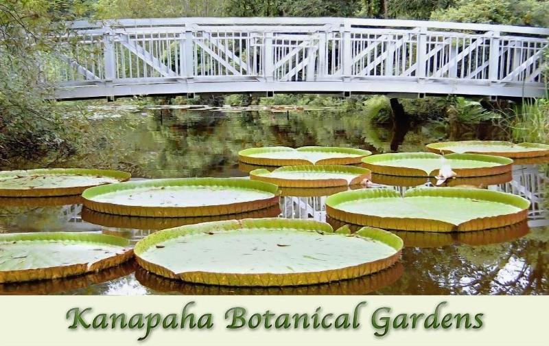 فندق Fairfield Inn & Suites By Marriott Gainesville I 75