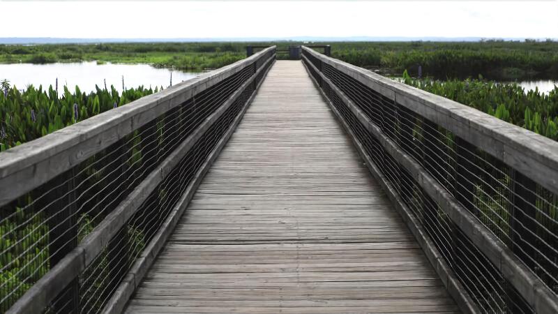 فندق Fairfield Inn & Suites By Marriott Gainesville I 75