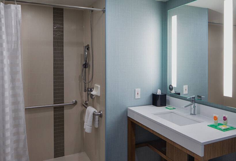 酒店 Hyatt Place Long Island City/new York City