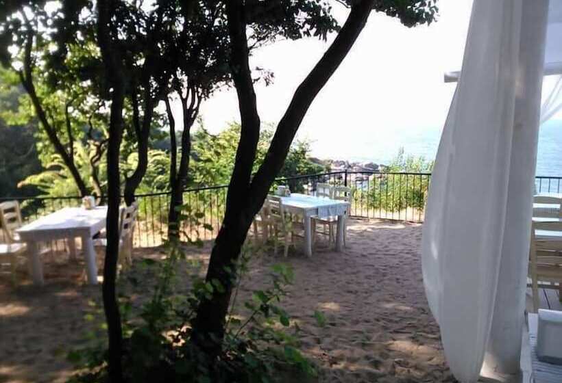 Отель Paradise Bay