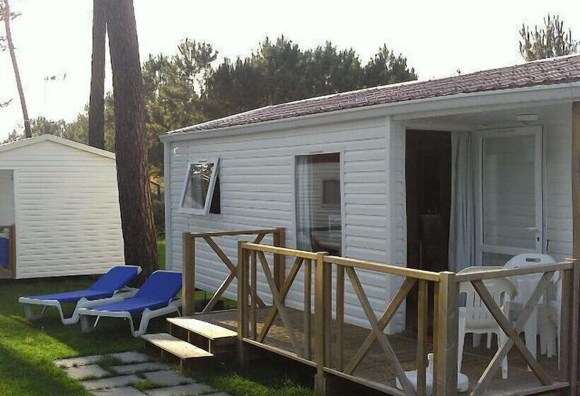 ホテル Parque De Campismo Orbitur Sao Pedro De Moel