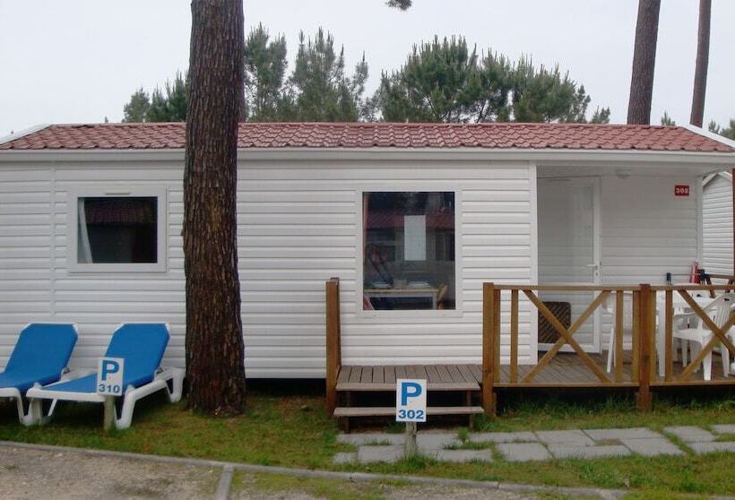 ホテル Parque De Campismo Orbitur Sao Pedro De Moel