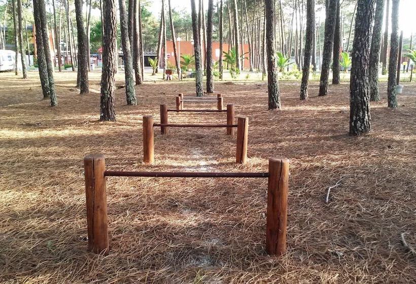 ホテル Parque De Campismo Orbitur Vagueira