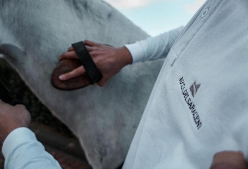 Отель Rocca Dei Saraceni