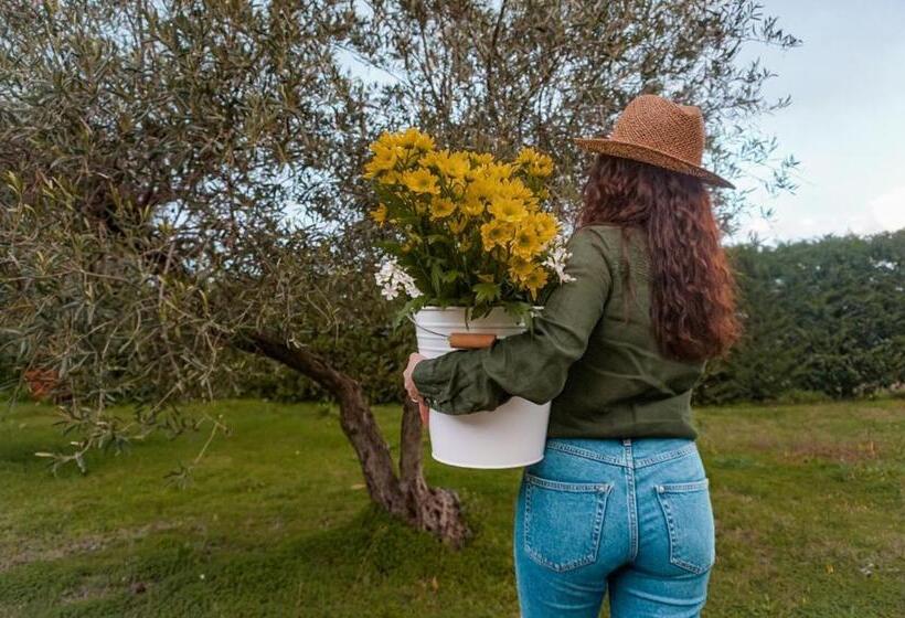 Отель Rocca Dei Saraceni