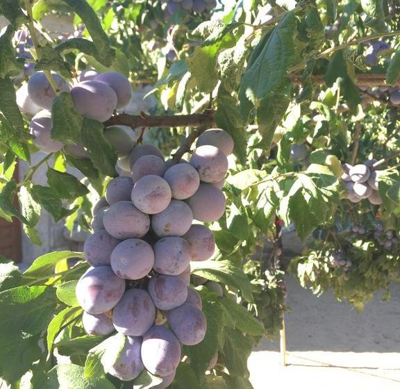 Hotel Rural Montecristo