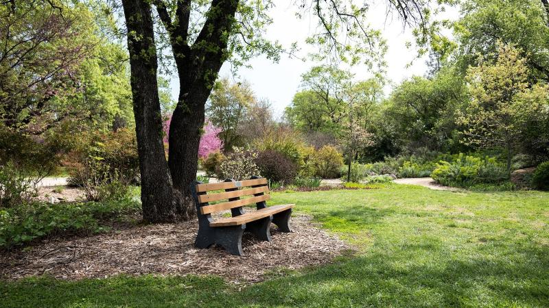 Sheraton Redding Hotel At The Sundial Bridge