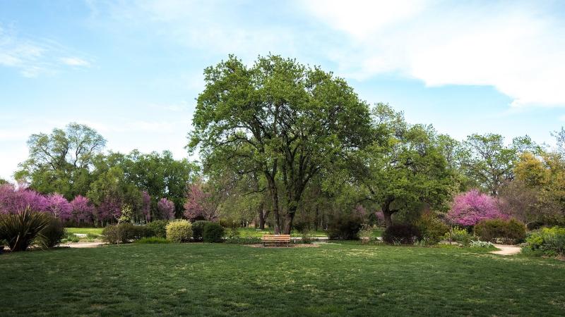 Sheraton Redding Hotel At The Sundial Bridge