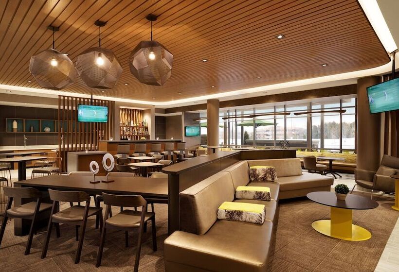 ホテル Springhill Suites By Marriott Allentown Bethlehem/center Valley