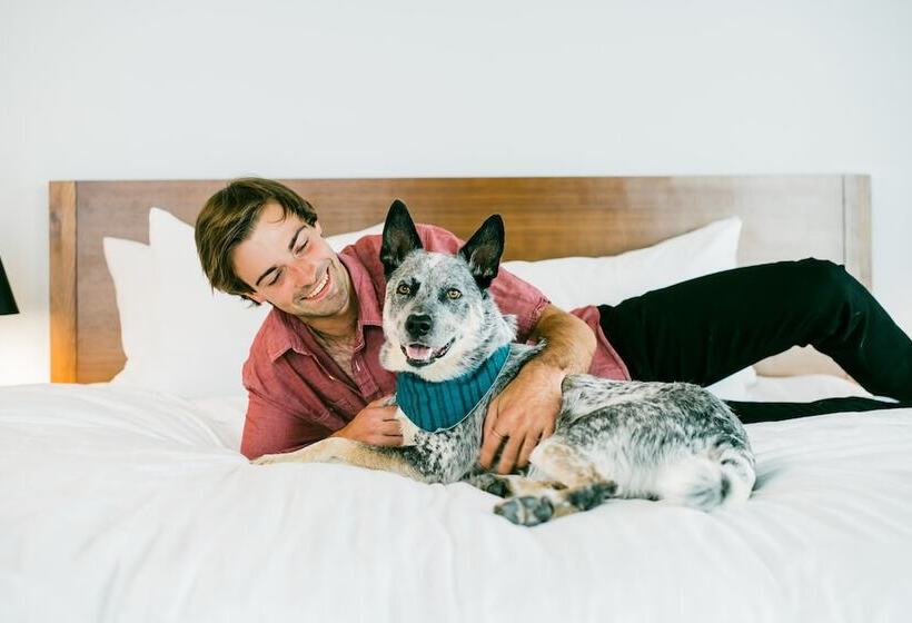 The Maven Hotel At Dairy Block