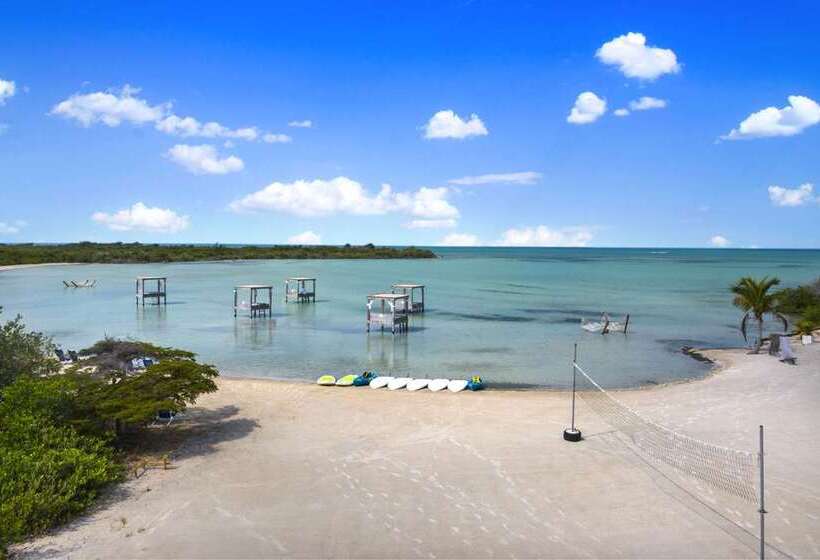 Mahogany Bay Resort & Beach Club, Curio Collection By Hilton