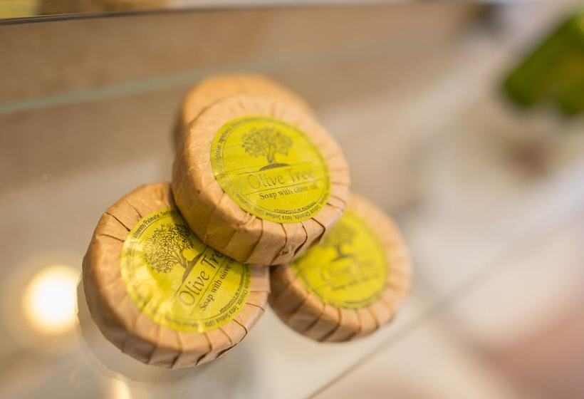 膳宿费 Rooms Nancy