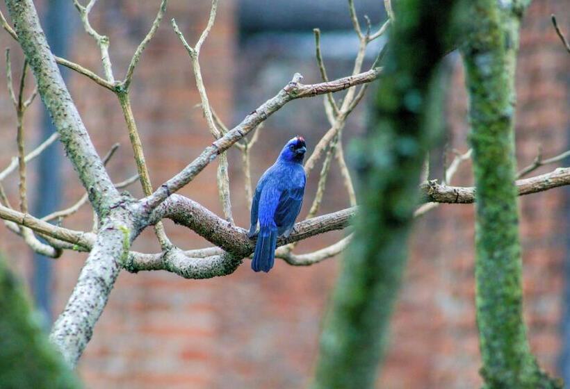 Velinn Hotel Ninho Do Falcão