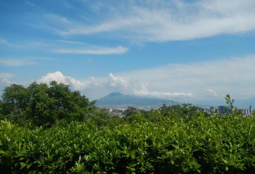 Zia Bi Bed And Breakfast