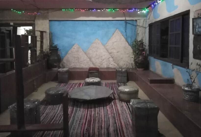 هاستل New Palace