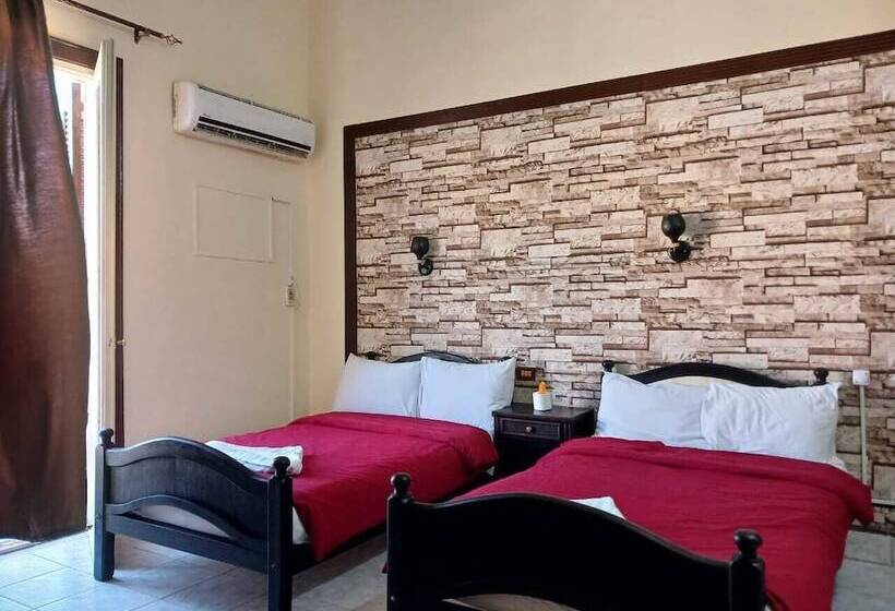 هاستل New Palace