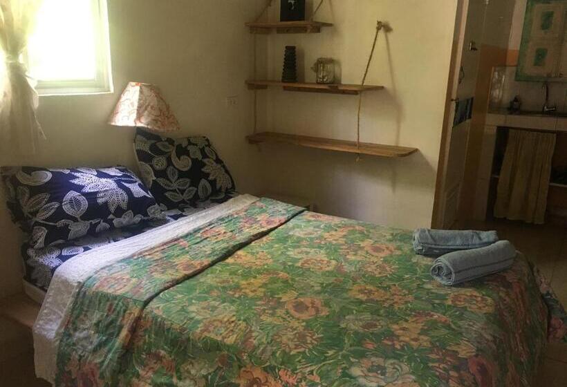 ユースホステル Villa Mar Sosua