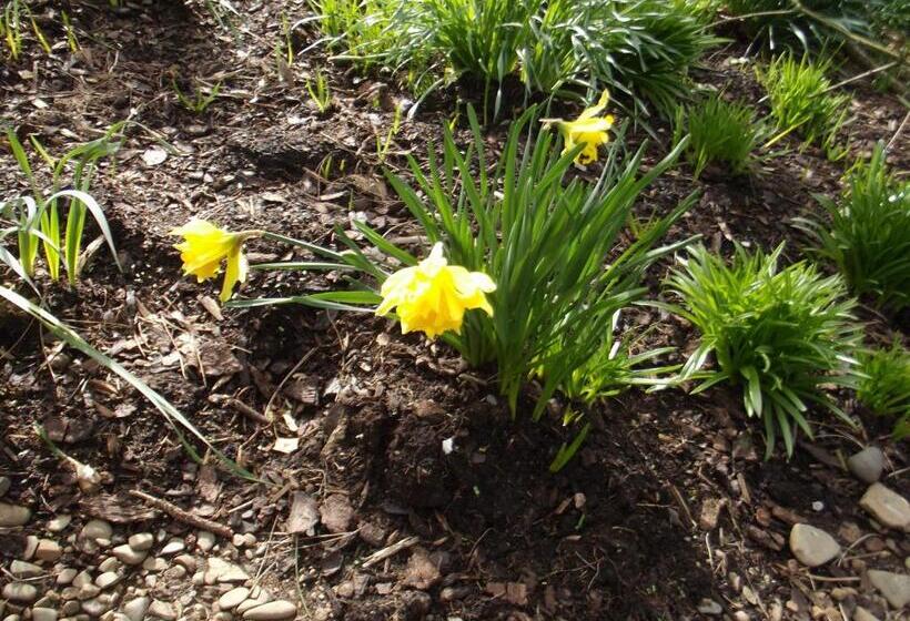 Balyett Farmhouse B&b