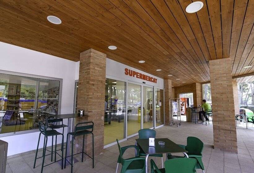 Camping Cala Montgó