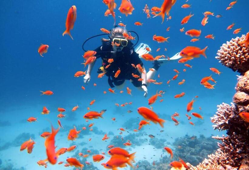 Deep Blue Divers Hostel Dahab